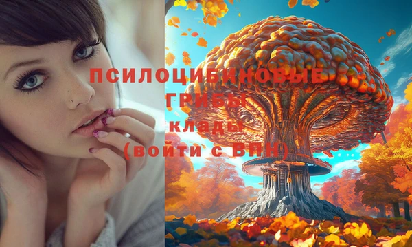 бутик Арсеньев